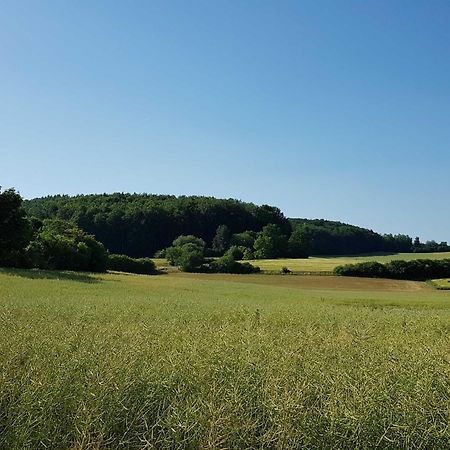 Ferienhaus Forstblick Betzenstein Bagian luar foto