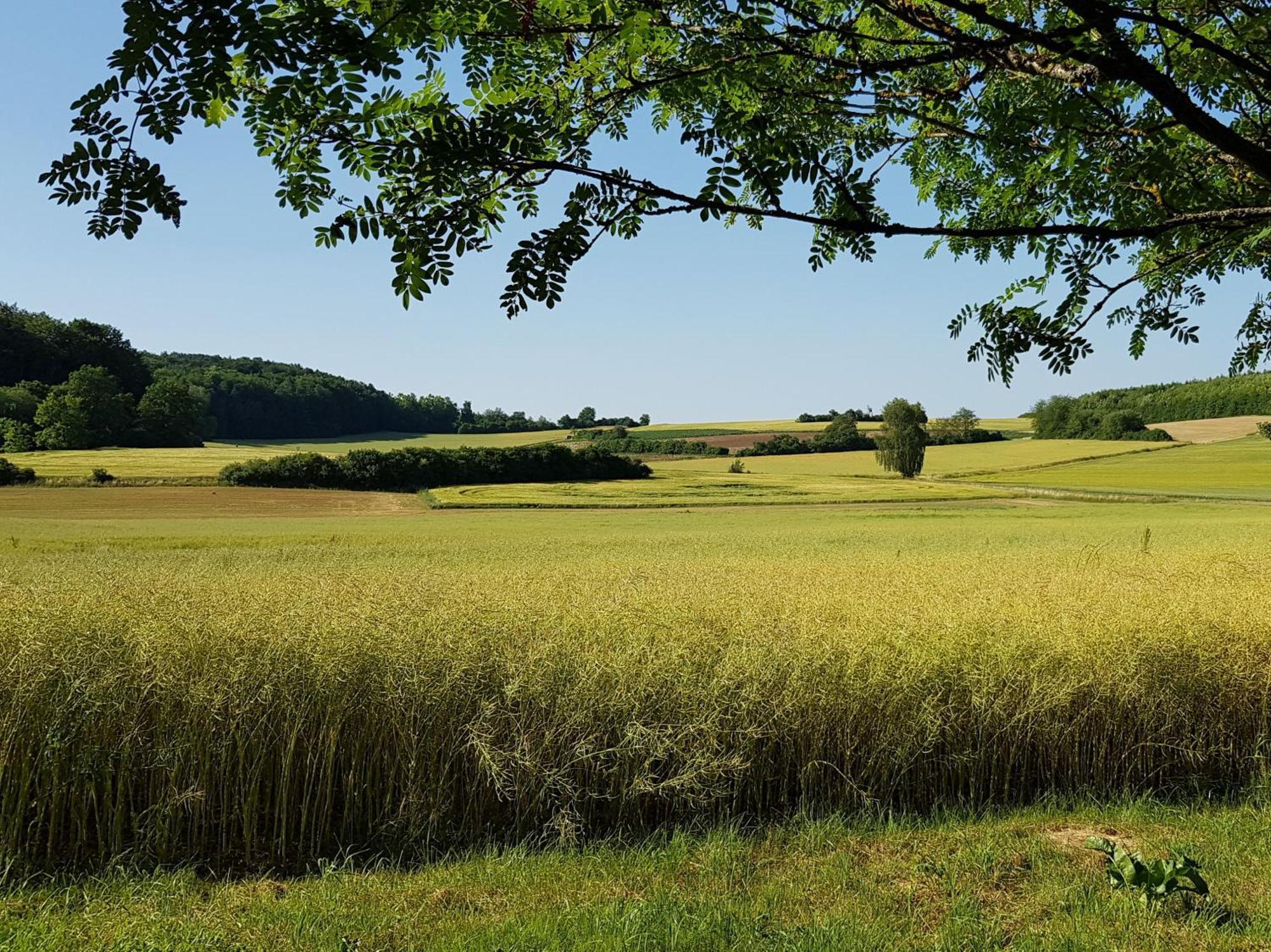 Ferienhaus Forstblick Betzenstein Bagian luar foto