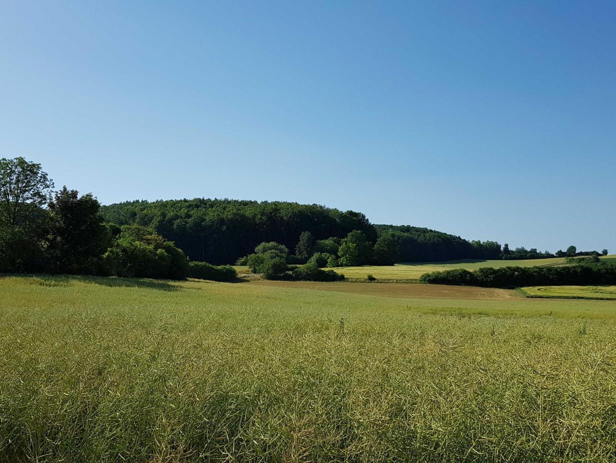 Ferienhaus Forstblick Betzenstein Bagian luar foto