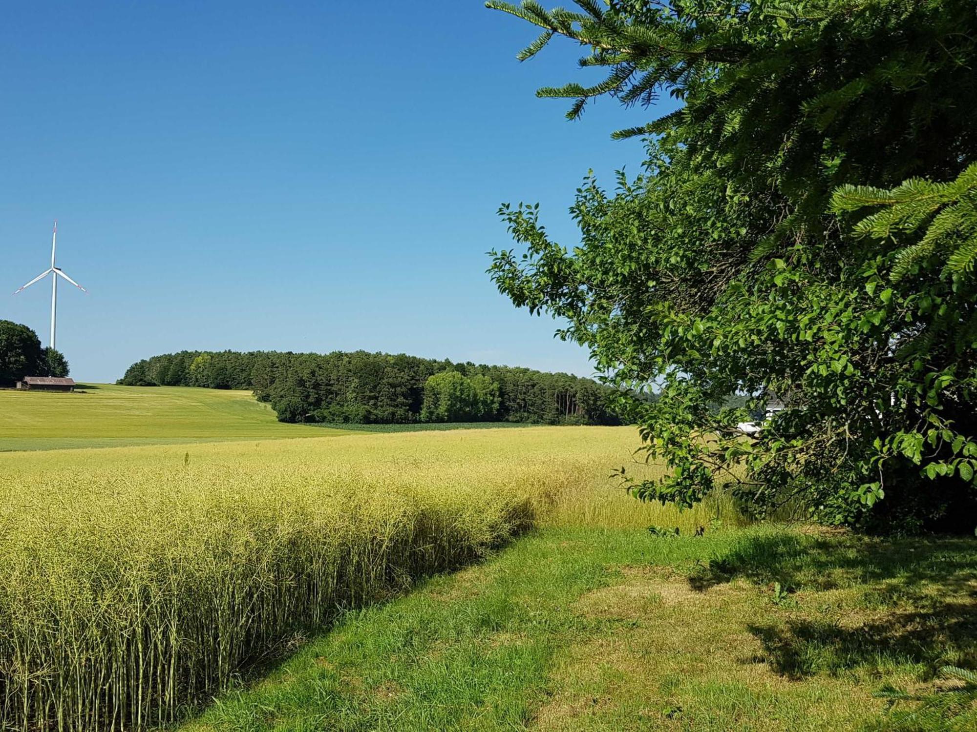 Ferienhaus Forstblick Betzenstein Bagian luar foto