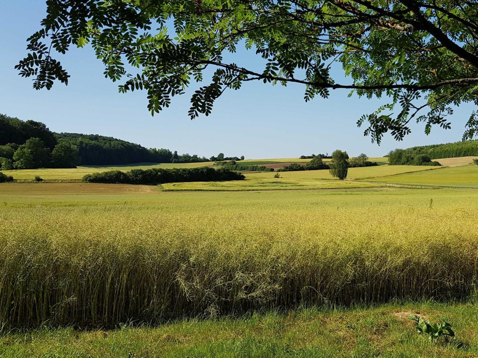 Ferienhaus Forstblick Betzenstein Bagian luar foto